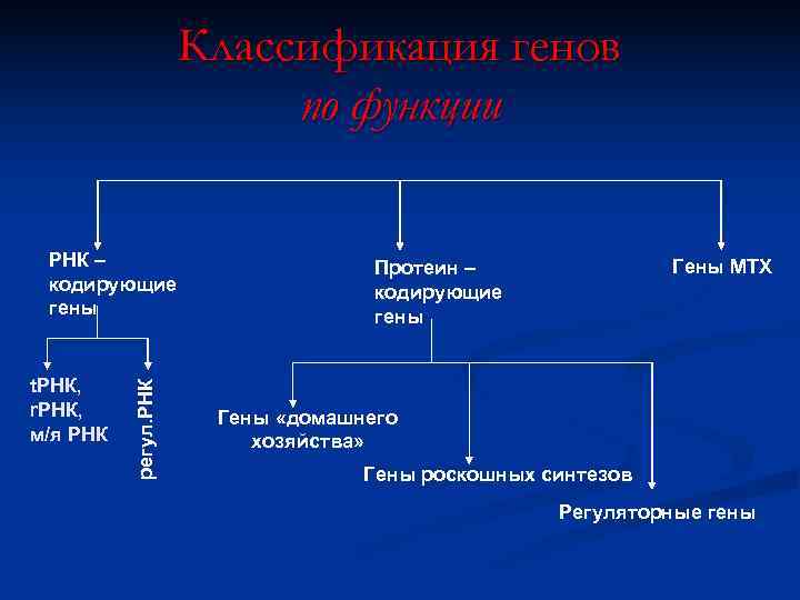      Классификация генов      по функции