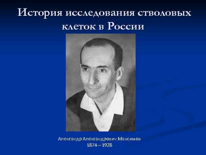 История исследования стволовых  клеток в России  Александрович Максимов   1874— 1928
