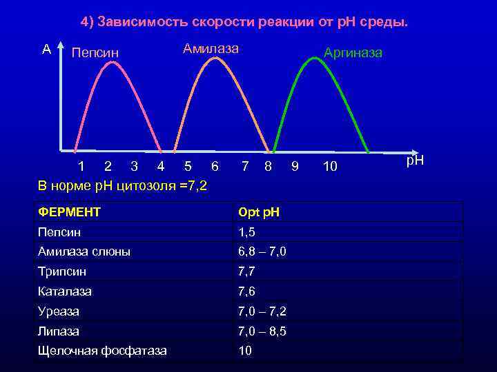 4) Зависимость скорости реакции от р. Н среды. A Пепсин 4) Зависимость скорости реакции от р. Н среды. A Пепсин