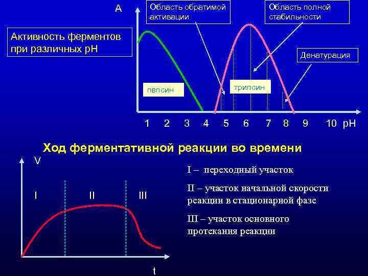 A Область обратимой Область полной A Область обратимой Область полной