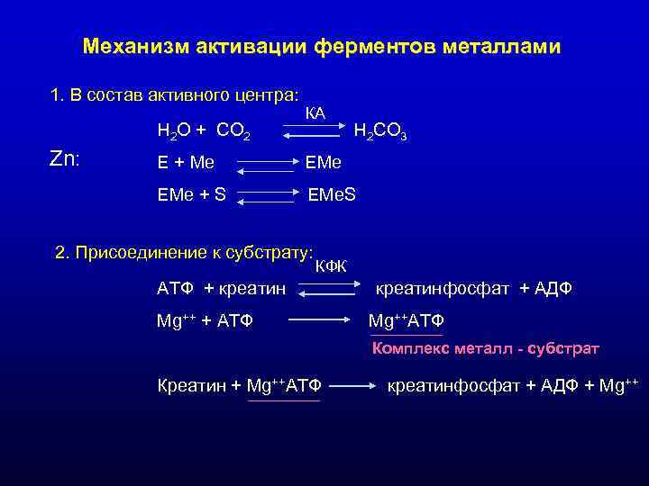 Механизм активации ферментов металлами 1. В состав активного центра: Механизм активации ферментов металлами 1. В состав активного центра: