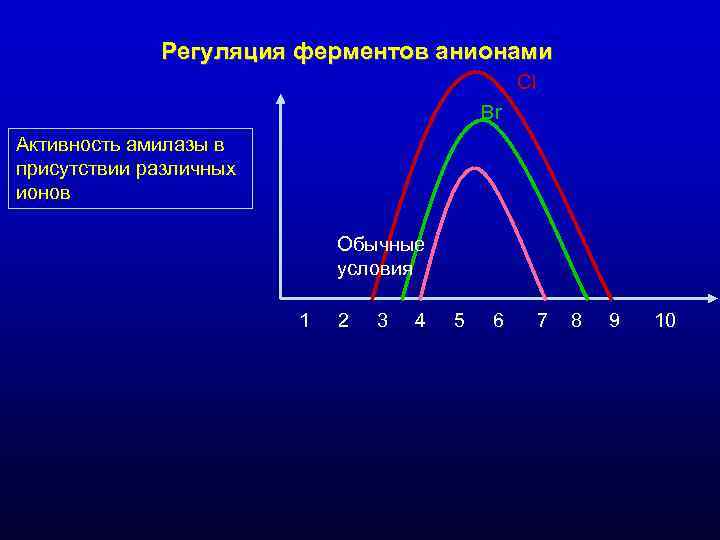 Регуляция ферментов анионами Cl Регуляция ферментов анионами Cl