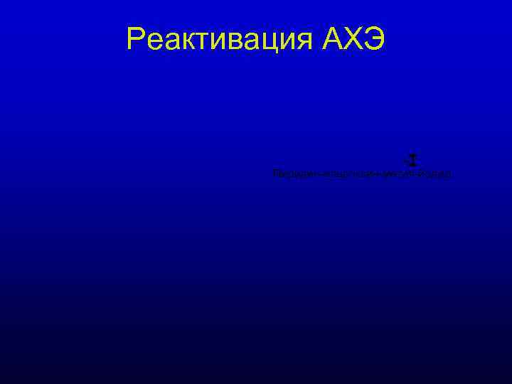 Реактивация АХЭ -I Пиридин-альдоксин-метил-йодид Реактивация АХЭ -I Пиридин-альдоксин-метил-йодид