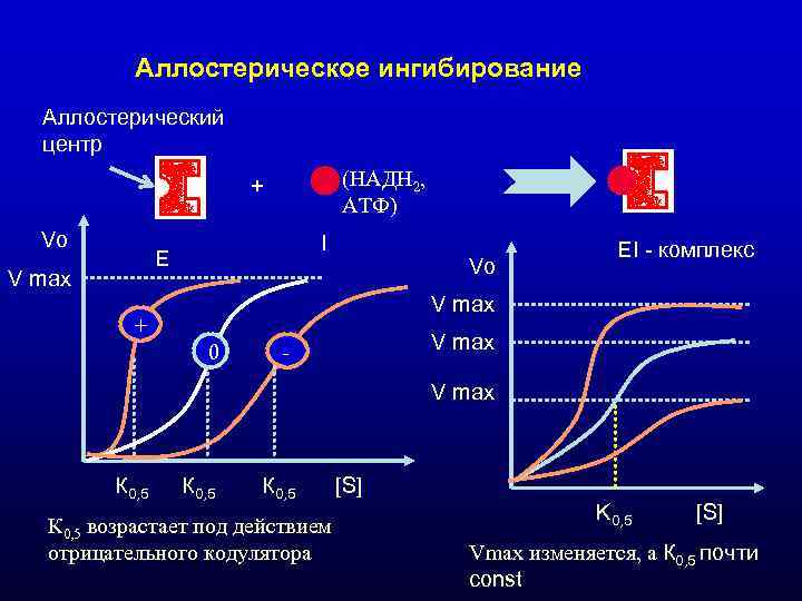Аллостерическое ингибирование Аллостерический центр + Аллостерическое ингибирование Аллостерический центр +
