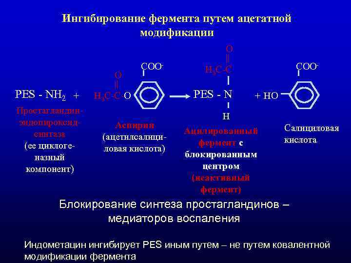 Ингибирование фермента путем ацетатной модификации Ингибирование фермента путем ацетатной модификации