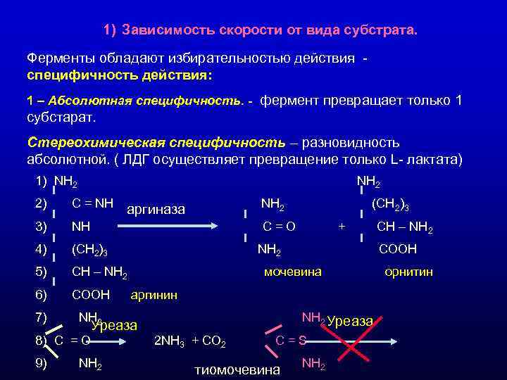 1) Зависимость скорости от вида субстрата. Ферменты обладают избирательностью действия 1) Зависимость скорости от вида субстрата. Ферменты обладают избирательностью действия