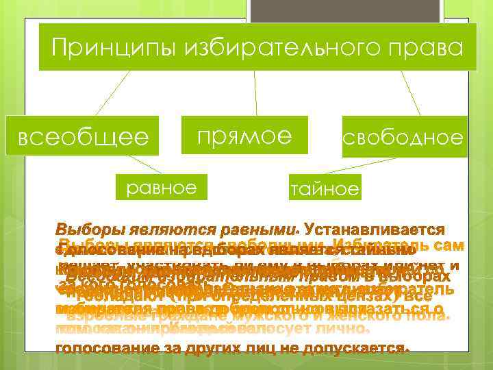 Принципы избирательного права  всеобщее  прямое  свободное   равное тайное