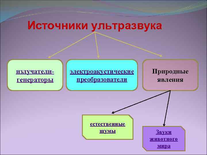 Источниками ультразвука в природе являются