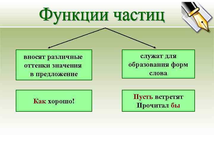 вносят различные служат для оттенки значения  образования форм  в предложение  
