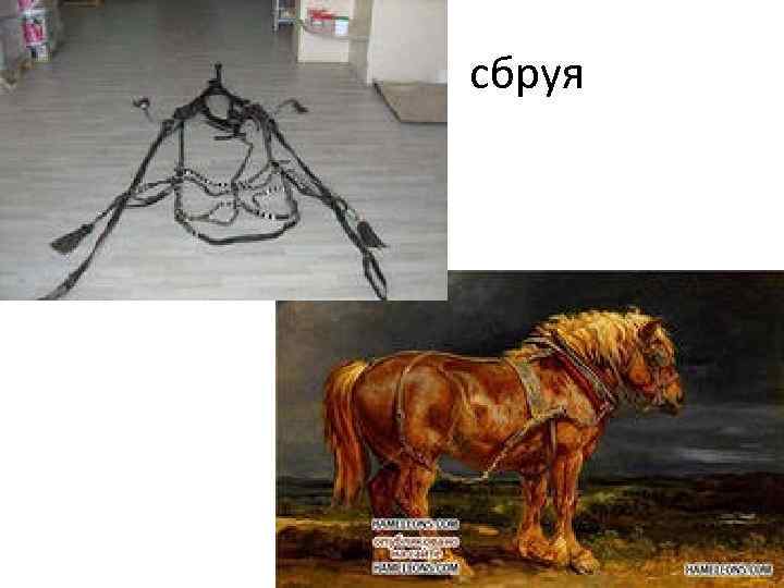      сбруя 