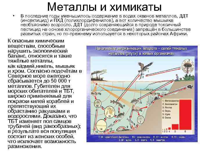     Металлы и химикаты  •  В последние годы уменьшилось