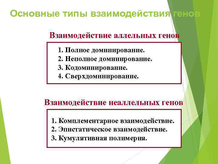 Основные типы взаимодействия генов   Взаимодействие аллельных генов   1. Полное доминирование.