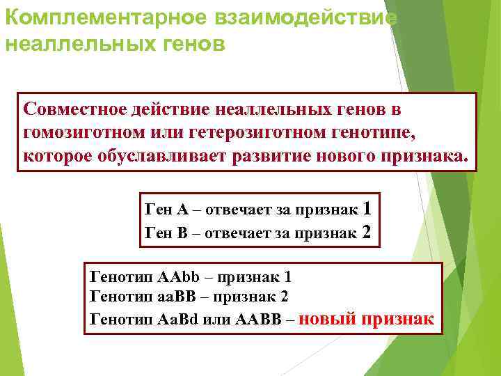 Комплементарное взаимодействие неаллельных генов  Совместное действие неаллельных генов в гомозиготном или гетерозиготном генотипе,