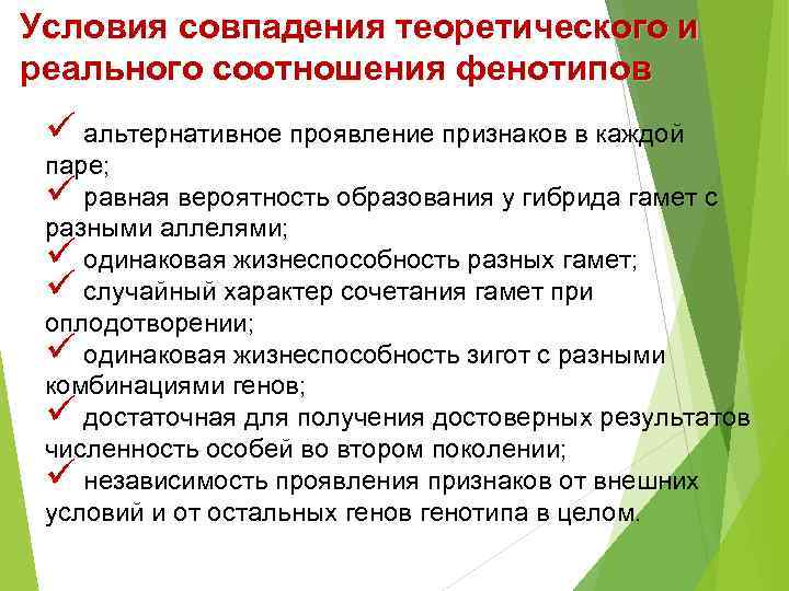 Условия совпадения теоретического и реального соотношения фенотипов ü альтернативное проявление признаков в каждой паре;