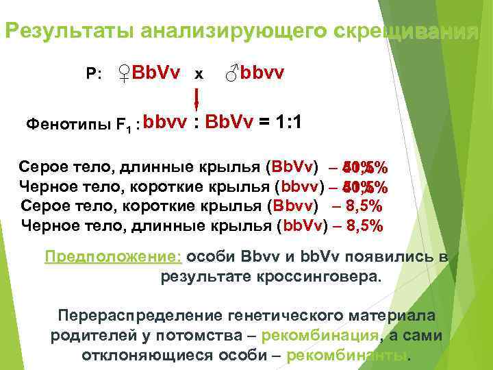 Результаты анализирующего скрещивания   P: ♀Bb. Vv x  ♂bbvv  Фенотипы F