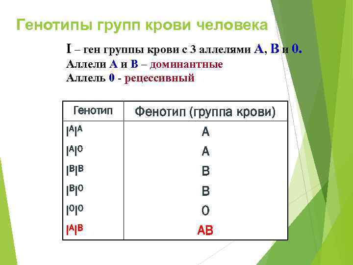 Генотипы групп крови человека I – ген группы крови с 3 аллелями А, В