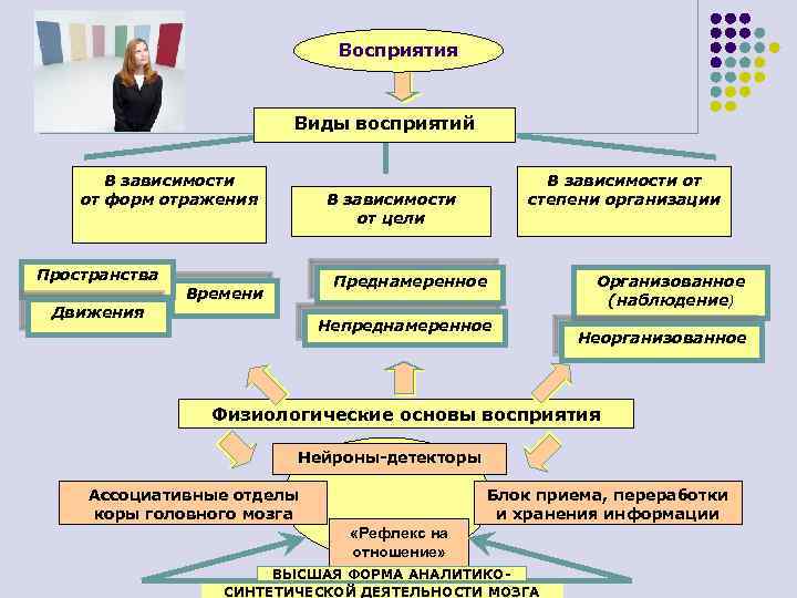 Восприятия Виды восприятий В зависимости от форм отражения В зависимости от степени организации В