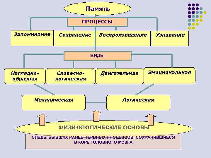 Память ПРОЦЕССЫ Запоминание Сохранение Воспроизведение Узнавание ВИДЫ Нагляднообразная Словеснологическая Механическая Двигательная Эмоциональная Логическая ФИЗИОЛОГИЧЕСКИЕ