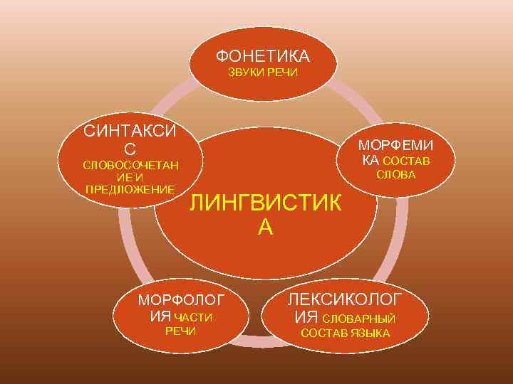    ФОНЕТИКА    ЗВУКИ РЕЧИ СИНТАКСИ  С  