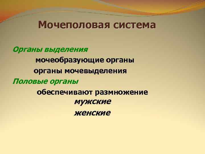  Мочеполовая система Органы выделения мочеобразующие органы мочевыделения Половые органы обеспечивают размножение  