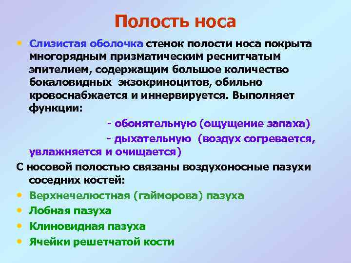 Полость носа • Слизистая оболочка стенок полости носа покрыта многорядным призматическим реснитчатым эпителием, содержащим