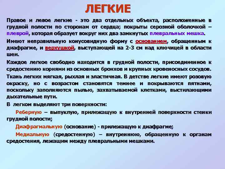 ЛЕГКИЕ Правое и левое легкие - это два отдельных объекта, расположенные в грудной полости