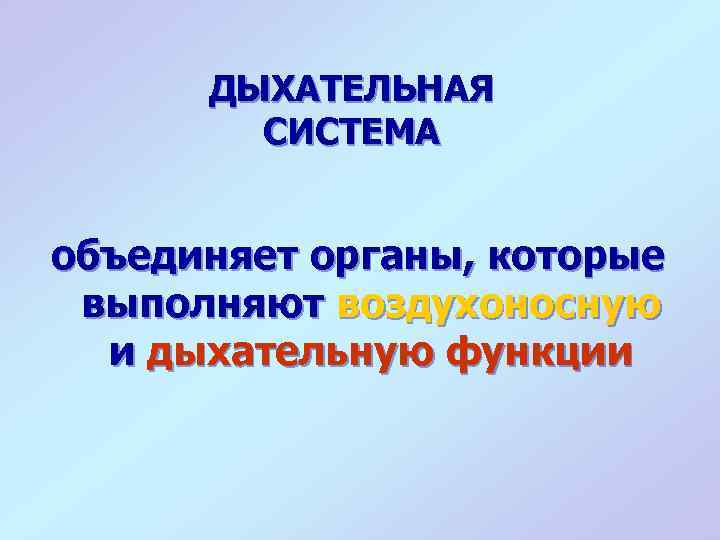 ДЫХАТЕЛЬНАЯ СИСТЕМА объединяет органы, которые выполняют воздухоносную и дыхательную функции 