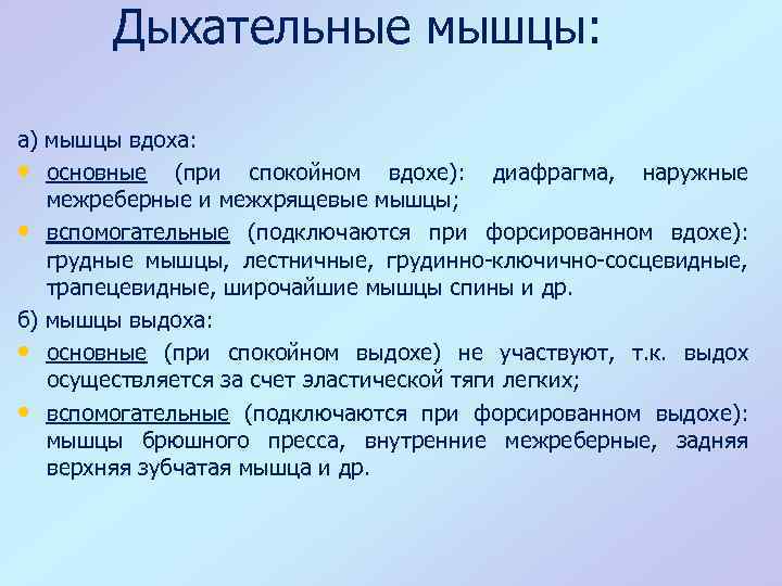 Группы дыхательных мышц