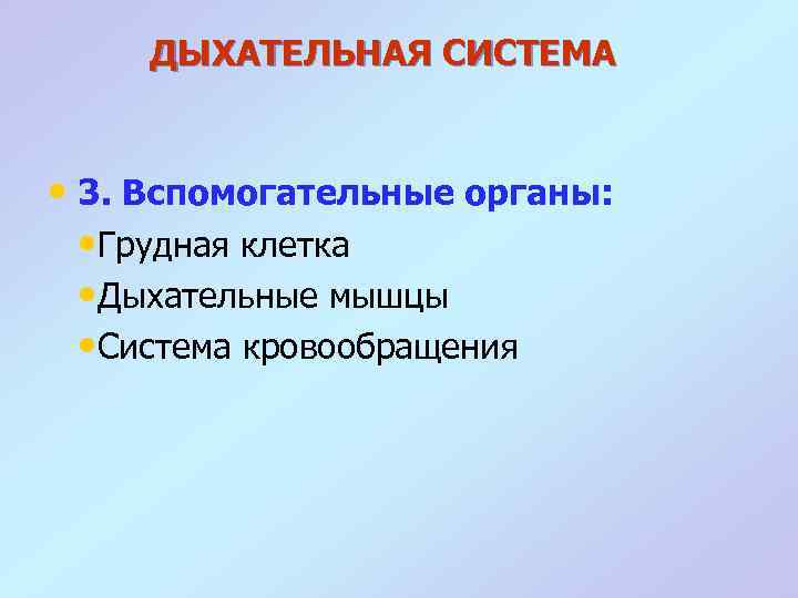 ДЫХАТЕЛЬНАЯ СИСТЕМА • 3. Вспомогательные органы: • Грудная клетка • Дыхательные мышцы • Система