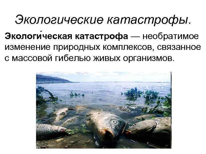  Экологические катастрофы. Экологи ческая катастрофа — необратимое изменение природных комплексов, связанное с массовой