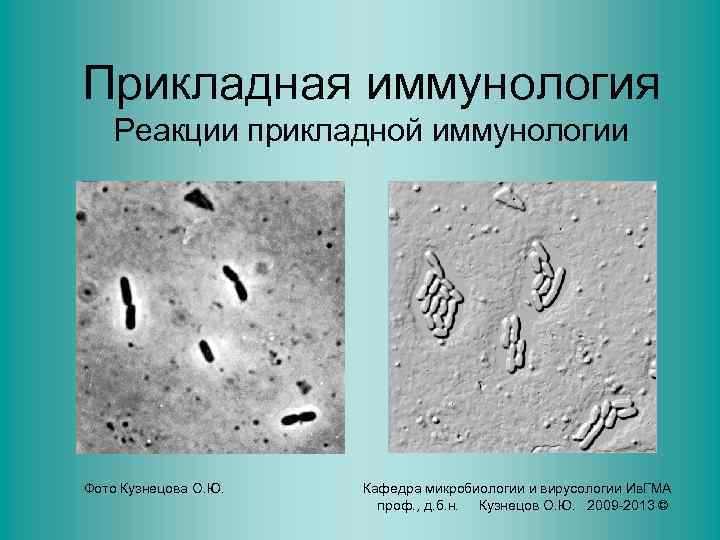 Прикладная иммунология презентация