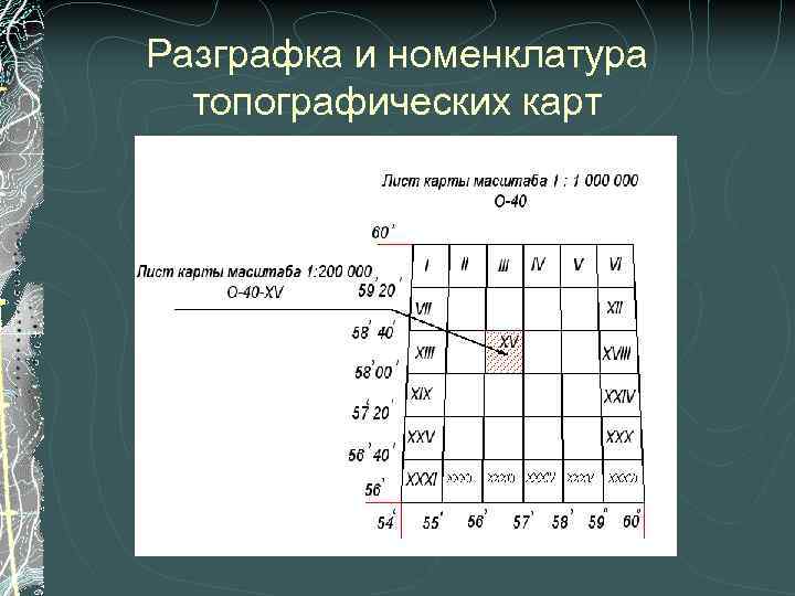 Карта с номенклатурой