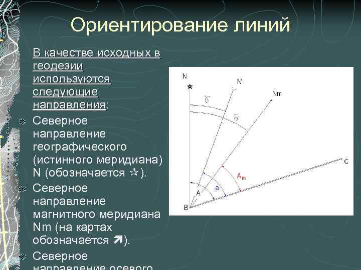 Относительные линии. Ориентирование линий на местности в геодезии. Линии местности ориентируют относительно геодезия. Ориентирование линий направлений геодезия. Ориентирование линий в геодезии.