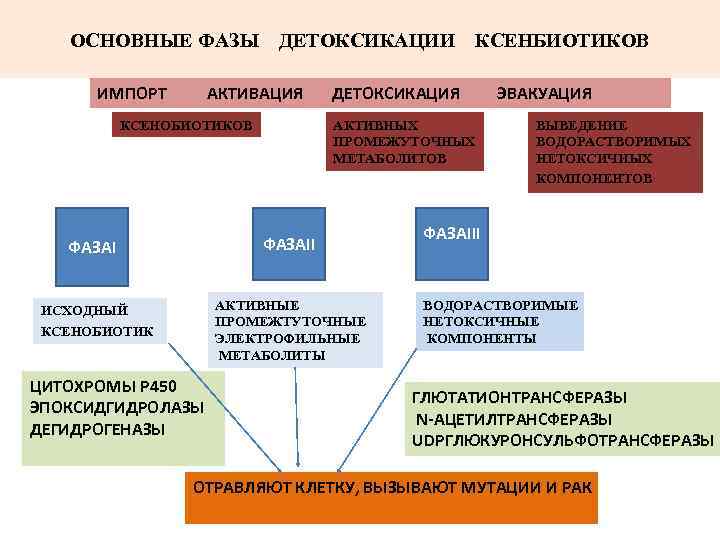 Проблемы современной медицины проект