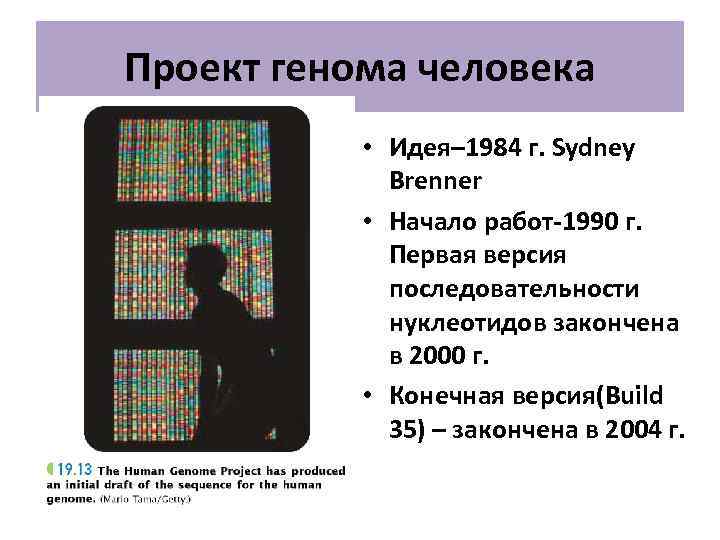 Мировой проект геном человека