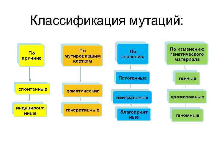 Классификация мутаций по изменению генетического материала