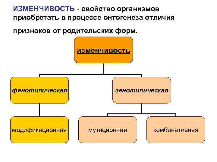 Изменчивость схема биология