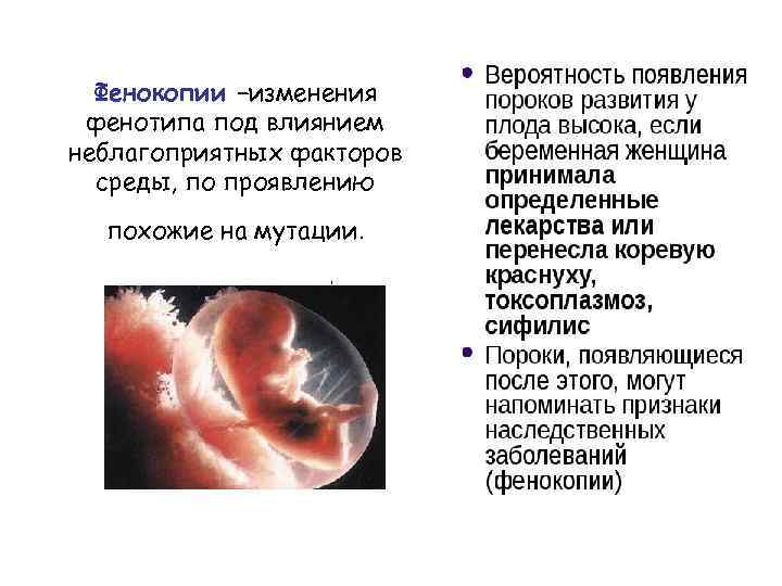  Фенокопии –изменения фенотипа под влиянием неблагоприятных факторов  среды, по проявлению  похожие