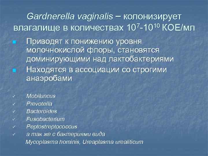   Gardnerella vaginalis – колонизирует влагалище в количествах 107 -1010 КОЕ/мл n 
