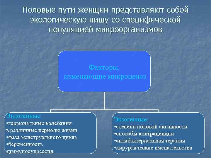  Половые пути женщин представляют собой   экологическую нишу со специфической  