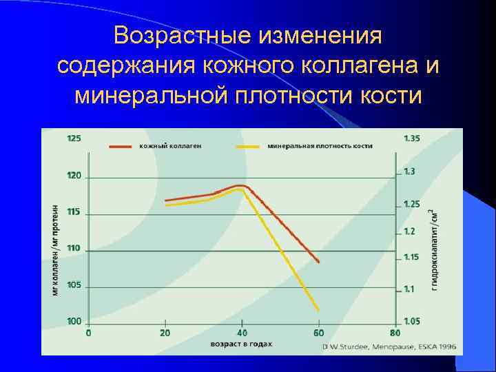 Возрастные изменения содержания кожного коллагена и минеральной плотности кости 