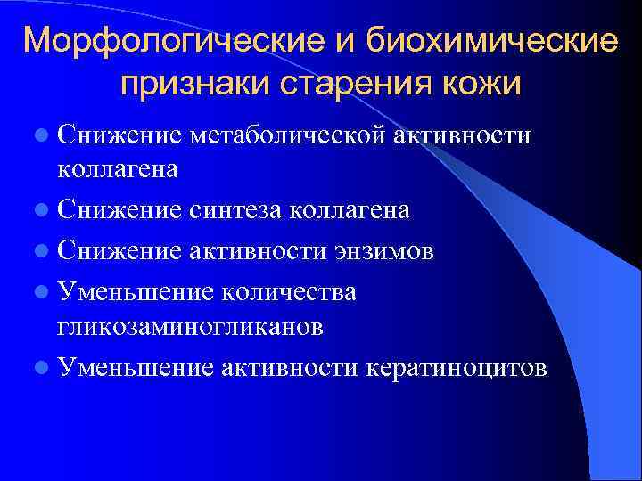 Морфологические и биохимические признаки старения кожи l Снижение метаболической активности коллагена l Снижение синтеза