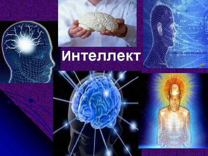 Интеллект 