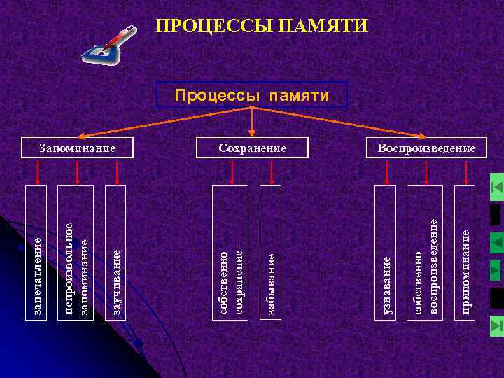 Собственно воспроизведение