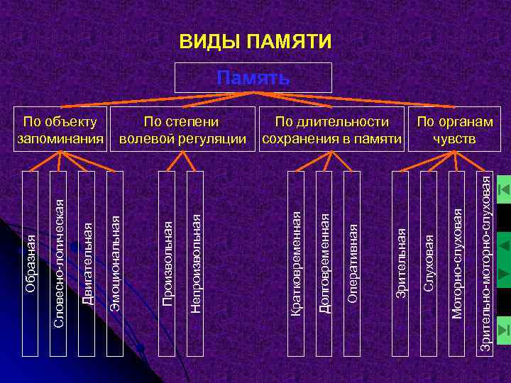 Виды познавательных процессов. Познавательные процессы память виды. Непроизвольные Познавательные процессы. Виды памяти по объекту запоминания.