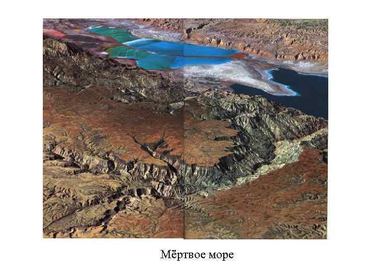 Мёртвое море 