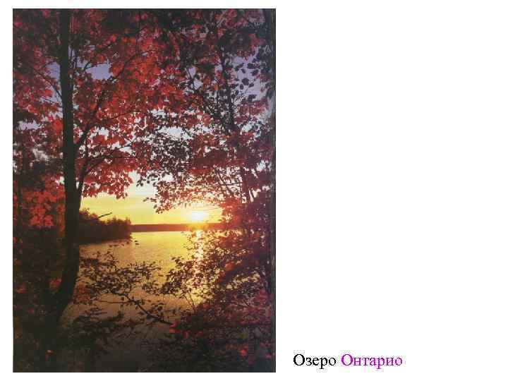 Озеро Онтарио 