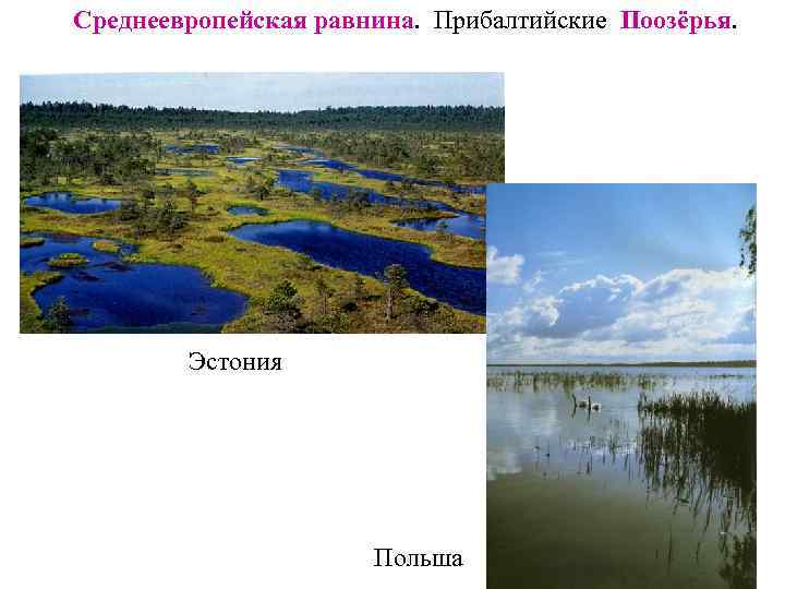 Среднеевропейская равнина. Прибалтийские Поозёрья.   Эстония      Польша 