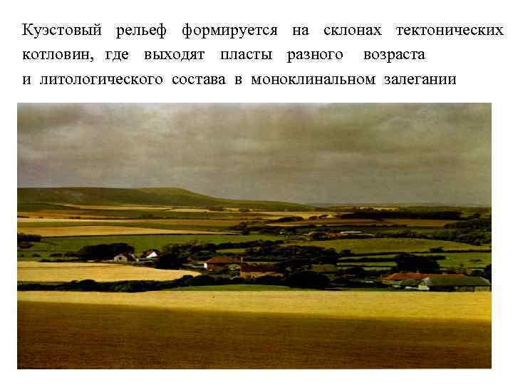 Куэстовый рельеф формируется на склонах тектонических котловин, где выходят пласты разного возраста и литологического