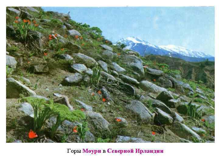 Горы Моурн в Северной Ирландии 